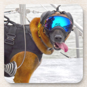 DESSOUS-DE-VERRE CHIEN DE TRAVAIL MILITAIRE AMÉRICAIN