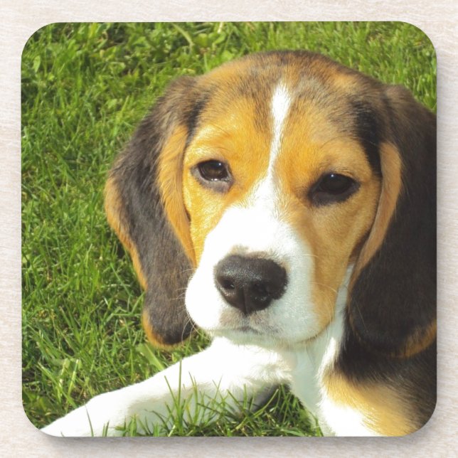 Dessous-de-verre Chien mignon (Devant)