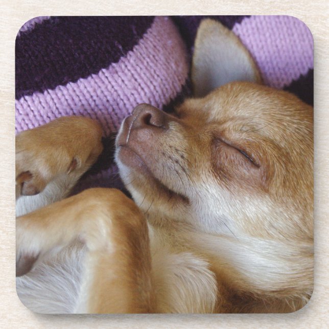 Dessous-de-verre Chihuahua endormi (Devant)