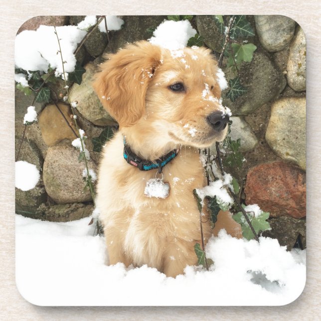 Dessous-de-verre Chiot à neige (Devant)
