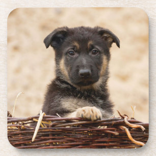 Dessous-de-verre Chiot Allemand En Panier