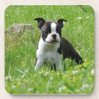 Dessous-de-verre Chiot de Boston Terrier dans l'ensemble de dessous