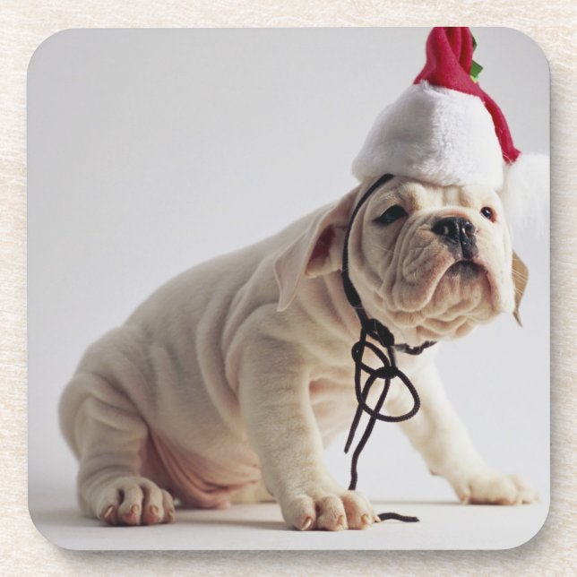 Dessous-de-verre Chiot de bouledogue utilisant le casquette de Père (Devant)