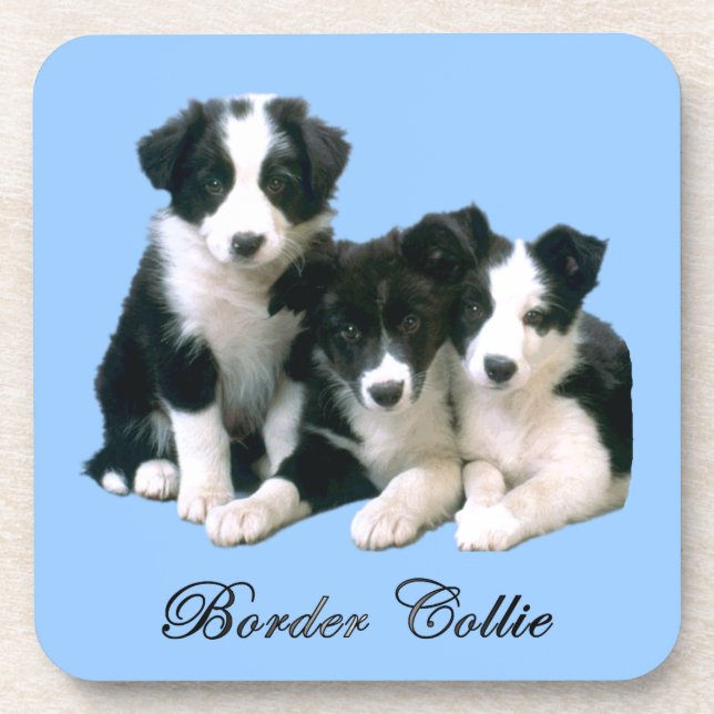 Dessous-de-verre Chiots de border collie (Devant)
