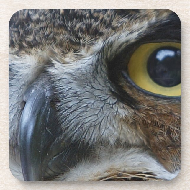 Dessous-de-verre Chouette intense (Devant)