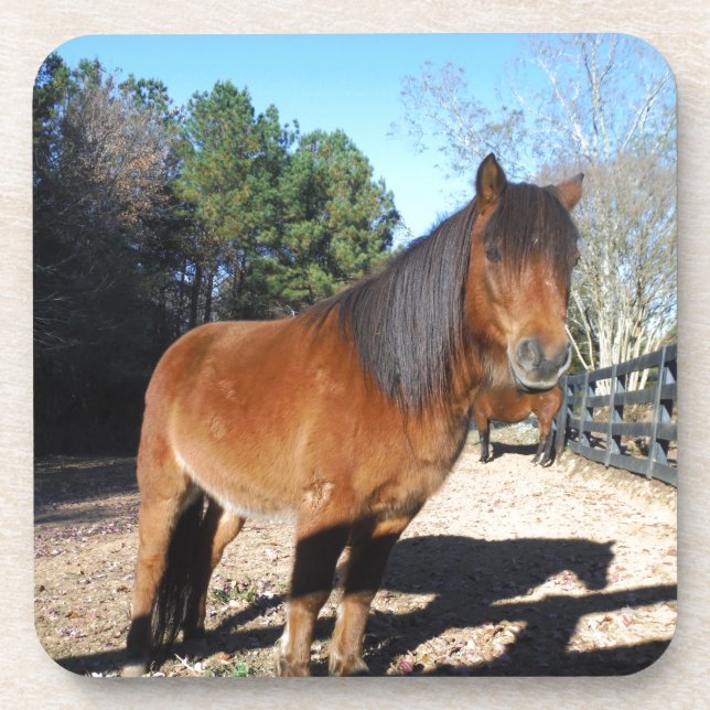 Dessous-de-verre Ciel turquoise de poney Brown (Devant)
