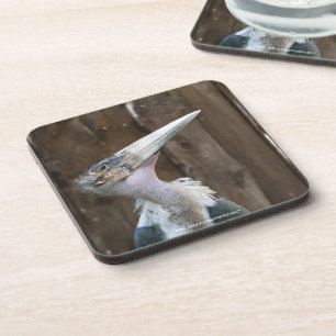 Dessous-de-verre Cigogne marabou