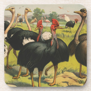 Dessous-de-verre Cirque vintage Montrant Des Ostriches Et De Grands
