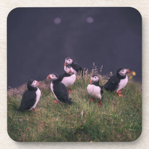 Dessous-de-verre Coaster de boisson des pouffins de l'Atlantique