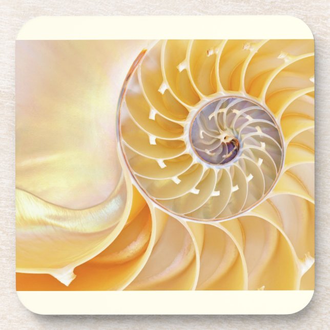Dessous-de-verre Coaster de boisson Nautilus Seashell (Devant)