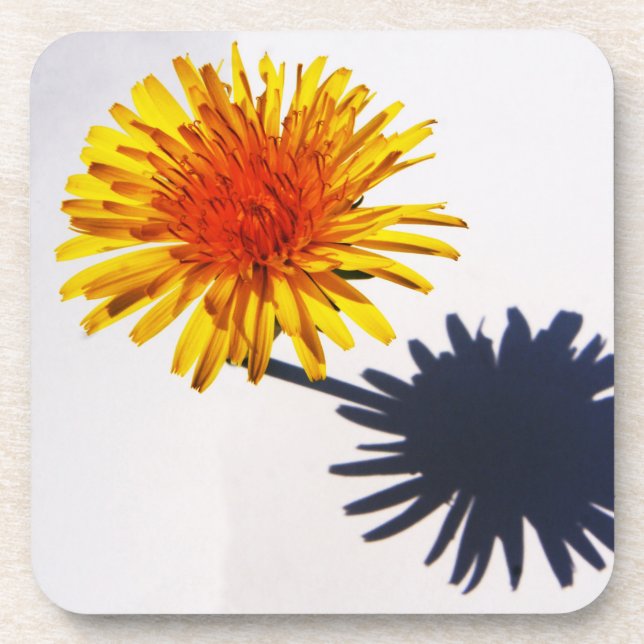 Dessous-de-verre Coastère Dandelion et Ombre (Devant)
