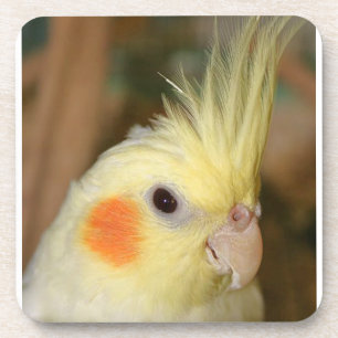 Dessous-de-verre Cockatiel jaune