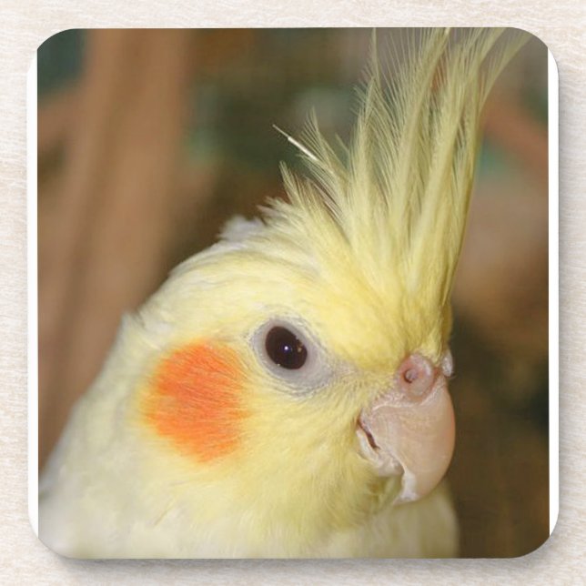 Dessous-de-verre Cockatiel jaune (Devant)