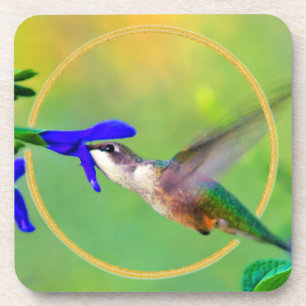 Dessous-de-verre Colibri