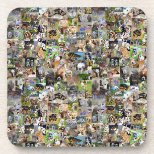 Dessous-de-verre Collage de photos de chiens,
