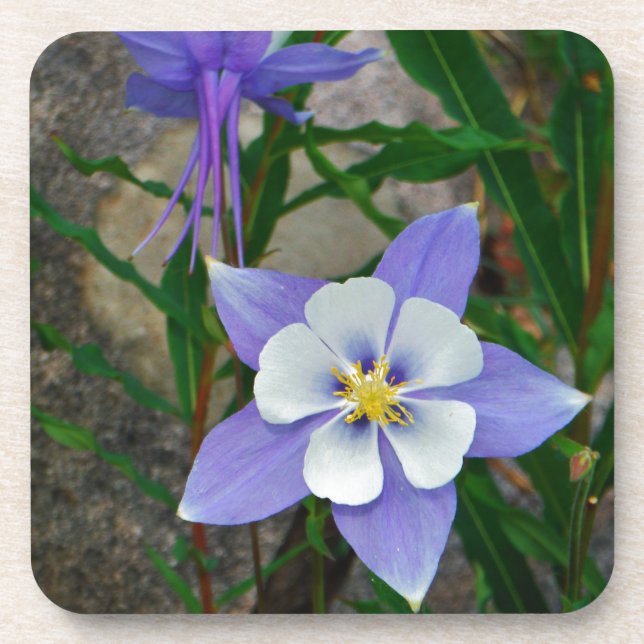 Dessous-de-verre Colonne bleue (Devant)