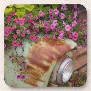 Dessous-de-verre Columbia Falls