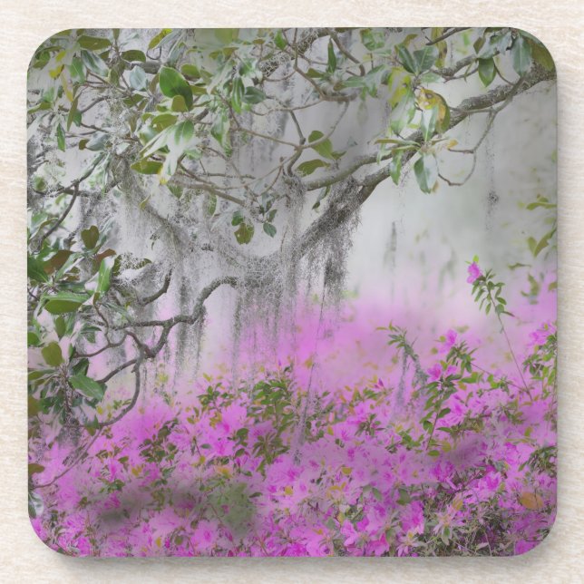 Dessous-de-verre Composite numérique d'azalées et d'arbre magnolia (Devant)