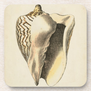 Dessous-de-verre Conque vintage Shell de sépia