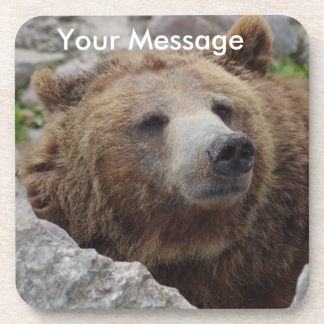 Dessous-de-verre Cook bear (Devant)