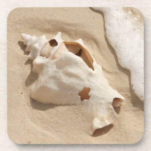 Dessous-de-verre Coquillage sur l'île des Caraïbes de Turc grand 