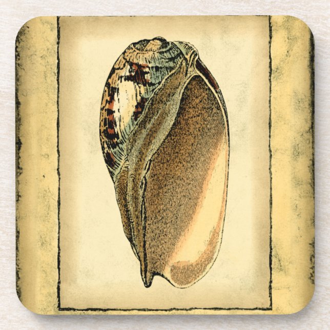 Dessous-de-verre Coquillage Vintage rustique (Devant)