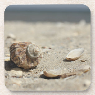 Dessous-de-verre Coquillages sur le sable par la mer
