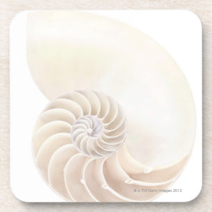 Dessous-de-verre Coquille de Nautilus, plan rapproché