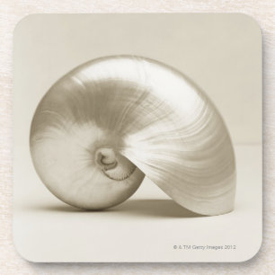 Dessous-de-verre Coquille Pearlised de mer de nautilus