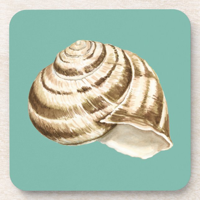 Dessous-de-verre Coquille striée Sepia sur Turquoise (Devant)