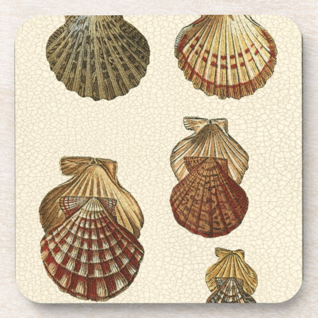 Dessous-de-verre Coquilles antiques craquelées (Devant)