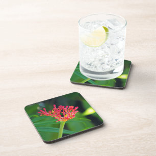 Dessous-de-verre Coral Bush en fleurs