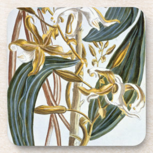 Dessous-de-verre Cosses de vanille, plat 65, de 'collection