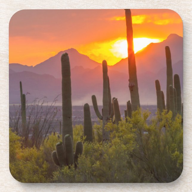 Dessous-de-verre Coucher de soleil de cactus du désert, Arizona (Devant)