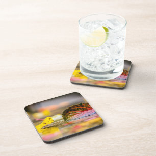 Dessous-de-verre Couleurs d'automne