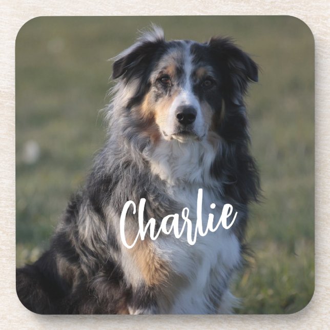 Dessous-de-verre Coussin photo personnalisé pour chien de compagnie (Devant)