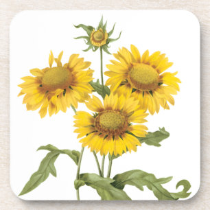 Dessous-de-verre Couverture Fleur de Blanket Tournesol de Redoute V