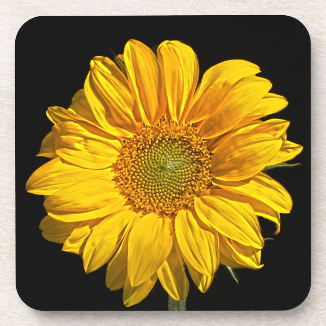 Dessous-de-verre Couvre-bière Sunflower Coastercn (Devant)