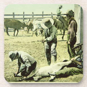 Dessous-de-verre Cowboys américains stigmatisant un veau, c.1900