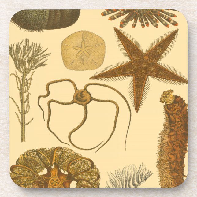 Dessous-de-verre Créatures sous-marines (Devant)