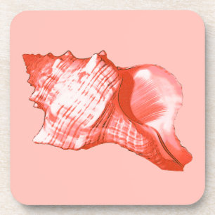 Dessous-de-verre Croquis en coquille de cône - corail, coquille ros