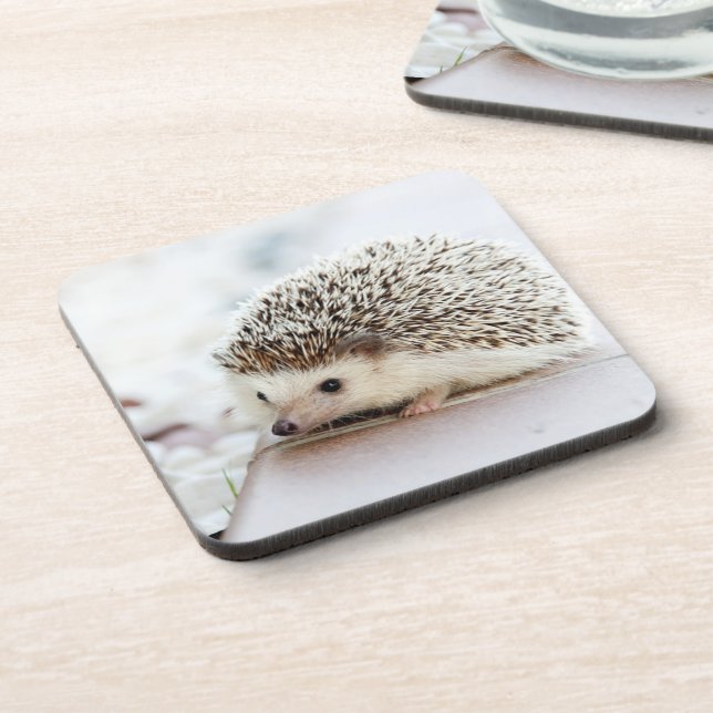 Dessous-de-verre Cute Baby Hedgehog Photo (Côté gauche)