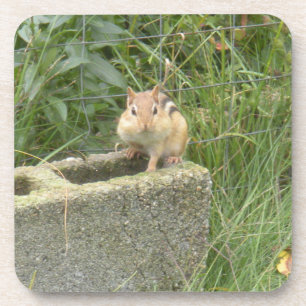 Dessous-de-verre Cute Chipmunk