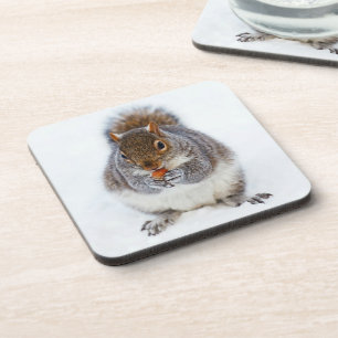 Dessous-de-verre Cute écureuil Manger une noix