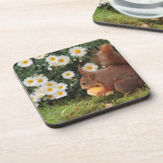 Dessous-de-verre Cute Red Squirrel and Daisies (Côté gauche)