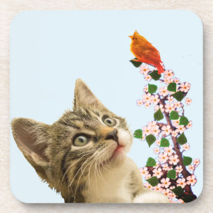 Dessous-de-verre Cute Tabby Chat & Petit Oiseau sur Bleu clair