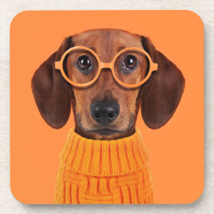 Dessous-de-verre Cutest Baby Animals Dachshund Orange Sweater