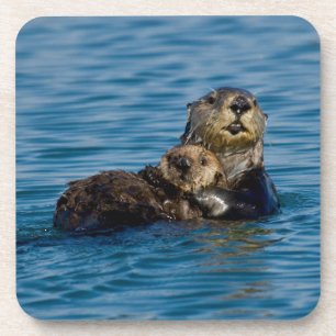 Dessous-de-verre Cutest Baby Animals Mother & Baby Sea Otter