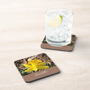 Dessous-de-verre Daffodile de printemps jaune dans le jardin Nom pe
