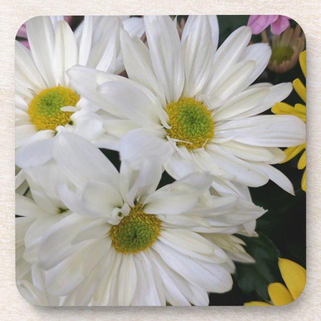 Dessous-de-verre Daisy (Devant)